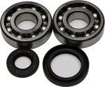 Balls 24-1019 Crankshaft Bearing And Seal Kit. Fixed Price $96.03.