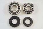 Suzuki RM100 76 RM125 75 DS100-TS100-TS125 78-81 DS125 79-81 Main Bearing Kit. Fixed Price $34.95.
