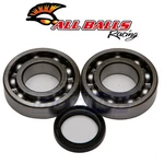 Balls Crank Bearing And Seal Kit For 2019 Kawasaki KX250 - Engine Ui. Fixed Price $59.80.