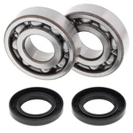 Balls Crankshaft Bearing Kit (24-1011). Fixed Price $82.49.