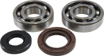 Vintco Main Bearing And Seal Kit Fits Suzuki 1980-81 PE400 / 1979-80 RM400. Fixed Price $44.95.