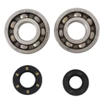 Hot Rods Crankshaft Main Bearing And Seal Kit For 1987-01 Kawasaki KX250/KDX250. Fixed Price $113.00.