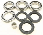 Balls 25-2101 Differential Bearing And Seal Kit. Fixed Price $72.49.