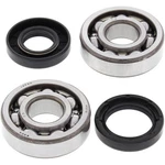 Balls Crank Shaft Bearing Kit 24-1063. Fixed Price $65.63.