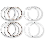 Hastings Piston Ring Set - Evolution +0.010" 6164010. Fixed Price $39.05.