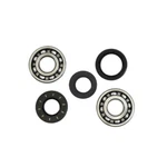 Balls 24-1022 Crank Bearing And Seal Kit. Fixed Price $54.18.