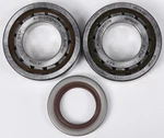 Pro X 23.CBS64003 Crankshaft Bearing And Seal Kit. Fixed Price $156.95.