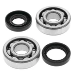 24-1063 Balls Crank Bearing And Seal Kit. Fixed Price $63.41.