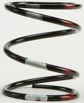 Team Secondary Spring Steel - Black/white/red 210194. Fixed Price $32.89.