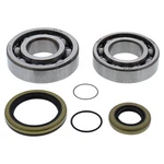 Balls Crank Bearing And Seal Kit 24-1118. Fixed Price $90.99.