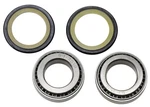 Balls Steering Stem Bearing & Seal Kit (22-1002). Fixed Price $43.59.