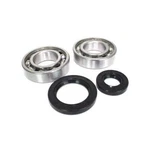 Main Crank Shaft Bearing Seal For Suzuki RM250 1981. Fixed Price $34.99.
