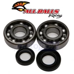 Balls Crank Bearing And Seal Kit For 1985-2002 Honda CR80R Engine Bd. Fixed Price $77.85.