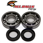 Balls Crank Bearing And Seal Kit For 1983-2004 Kawasaki KX500 Engine Xa. Fixed Price $111.27.