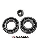 Bearing Set Differential For Honda TRX350 Fe/fm/te/tm 00 06. Fixed Price $39.00.