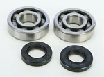 Pro-x 23.CBS22005 Yamaha YZ125 2005-2019 Crankshaft Bearing And Seal Kit. Fixed Price $56.99.