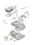 Triumph T1160753 - Main Bearing Shell, Grooved. Fixed Price $11.42.