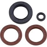 Vertex Oil Seal 900 Ace 622206. Fixed Price $47.23.