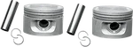 Drag Specialties Piston 750767 Bx LB1 Cast Aluminum Alloy Oe Replacement. Fixed Price $132.45.