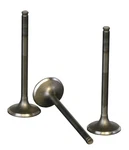 Wiseco VIS004 Premium Stainless Steel Intake Valve. Fixed Price $57.03.