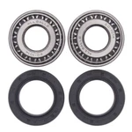 Balls Front Wheel Bearing Kit For Hyosung SF50B New Prima 25-1138. Fixed Price $17.99.