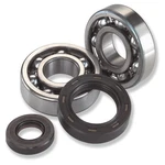 Balls Crank Bearing And Seal Kit For 1984-1987 Suzuki LT50 Quadrunner Atv. Fixed Price $48.73.