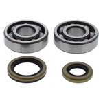 Balls Crank Bearing And Seal Kit (24-1119) For Gas-gas EC125 13 14 15. Fixed Price $76.59.