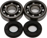 Balls Crankshaft Bearing Kit For Kawasaki KX100 95-21. Fixed Price $66.87.