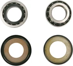 Pivot Works PWSSK-H06-420 Steering Stem Bearing Kit. Fixed Price $59.03.