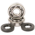 1995-2015 Kawasaki Kx 100 Dirt Bike Hot Rods Main Bearing And Seal Kit. Fixed Price $76.53.