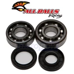 Balls Crank Bearing And Seal Kit For 1993-2001 Yamaha YZ80 Engine Wc. Fixed Price $58.02.
