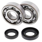 Balls Crank Bearing & Seal Kit For 1980 Yamaha YZ50 24-1022. Fixed Price $54.18.