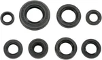 Moose Racing Oil Seal Set 0935-0028. Fixed Price $30.16.