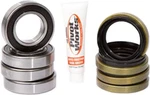 Pivot Works 1987-1988 KSF250 Mojave Kawasaki Front Wheel Bearing Kit PWFWK-K31-0. Fixed Price $58.93.
