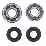 Athena P400485444198 Crankshaft Overhaul Kit: Bearing And Oil Fender. Fixed Price $48.72.