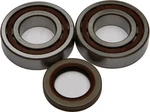 Balls Crankshaft Bearing Kit For Polaris Outlaw 525 Irs 07-11. Fixed Price $188.15.