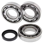 Balls Crank Bearing And Seal Kit 24-1089 For Polaris Atp 500 4X4 New. Fixed Price $87.16.