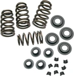 S&s Valve Spring Kit .650 #900-0050 Harley Davidson. Fixed Price $254.95.