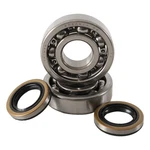New Hot Rods Main Bearing & Seal Kits For Kawasaki Kx 125 (80-81) K236. Fixed Price $40.01.