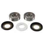 Boss Bearing Steering Stem And Seal Kit Beta/gas Gas/ktm/sherco. Fixed Price $37.49.