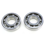 Pro X Crankshaft Bearing Kit 23.CBS24098. Fixed Price $92.99.