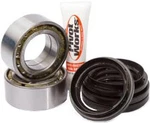 Pivot Works PWRWK-H21-600 Wheel Bearing Kit Rear. Fixed Price $85.34.