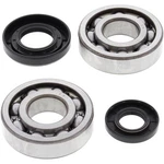 Balls Crank Shaft Bearing Kit 24-1029. Fixed Price $92.67.