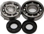 Balls 24-1007 Crankshaft Bearing And Seal Kit. Fixed Price $91.44.