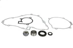 Repair Kit, Water Pump Winderosa W821860. Fixed Price $67.65.