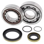 Balls Racing Crank Shaft Bearing Kit For Gas EC300 2003-2007. Fixed Price $162.66.