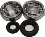 Balls 24-1029 Crankshaft Bearing And Seal Kit. Fixed Price $92.67.