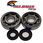 Balls Crank Bearing And Seal Kit For 2002-2007 Kawasaki KX250 Engine Gc. Fixed Price $77.73.