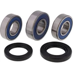 Balls 25-1117 Wheel Bearing Kit For Suzuki DRZ400SM 05-09. Fixed Price $33.49.