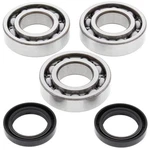 Balls Crank Shaft Bearings 24-1077 Polaris Big Boss 250 4X6 89-92 New. Fixed Price $105.04.
